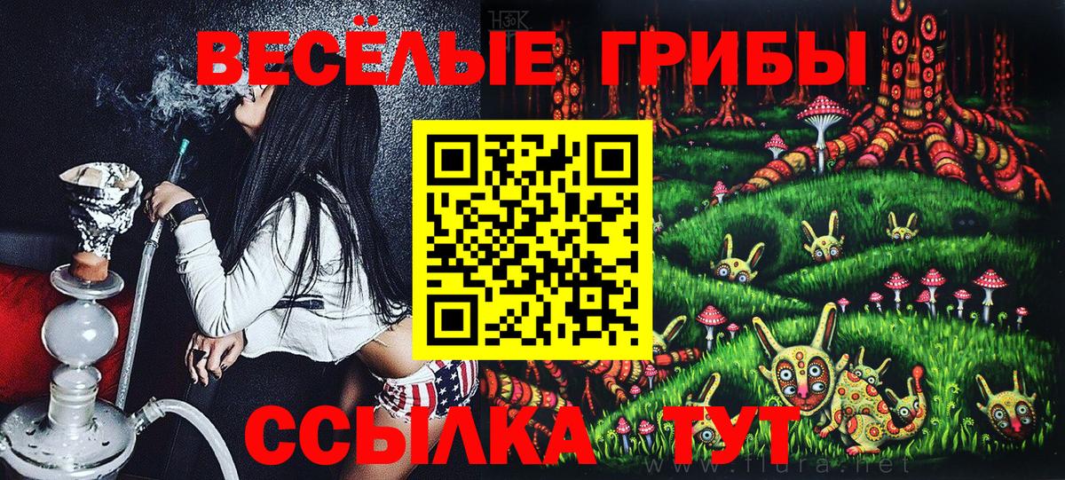 Бугуруслан  Галлюциногенные грибы Psilocybe  Вход с VPN  Псилоцибиновые грибы Cubensis 