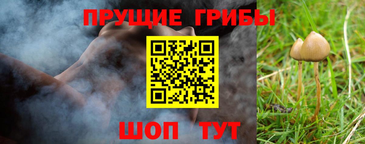 Псилоцибиновые грибы Cubensis Бугуруслан